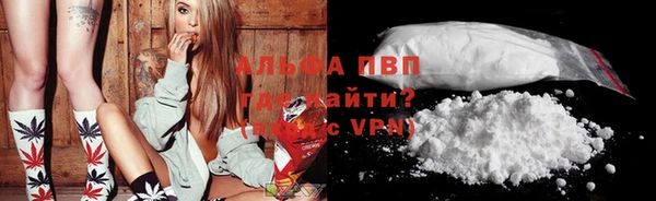 скорость Вяземский