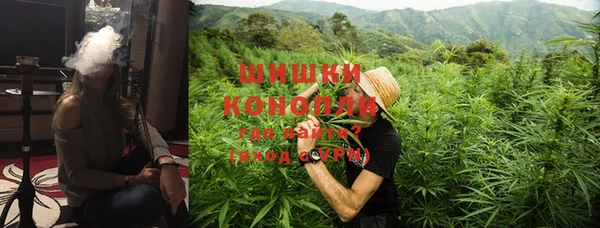 скорость Вяземский
