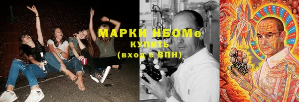 прущие грибы Горнозаводск