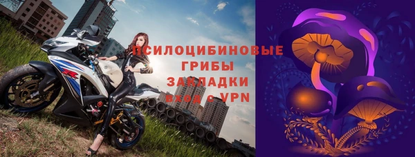 скорость Вяземский