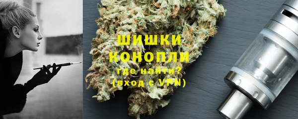 твердый Горняк