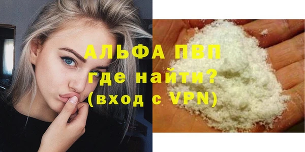 скорость Вяземский